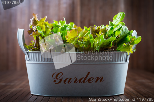 Image of Fresh salad