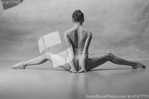 Image of The ballerina is sitting with her back legs wide apart