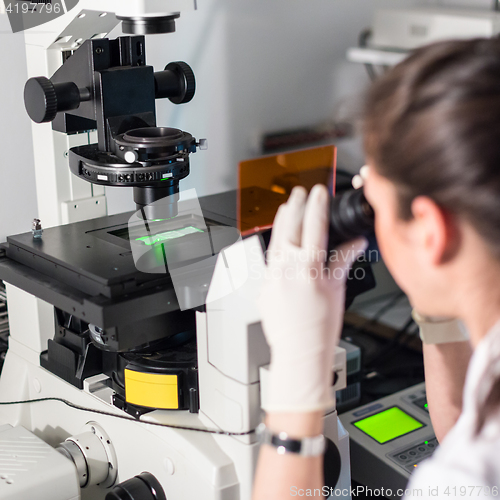 Image of Life science researcher microscoping in genetic scientific laboratory.