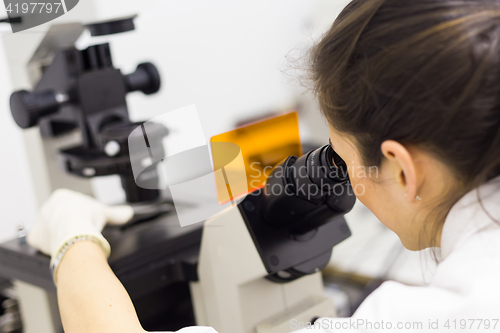 Image of Life science researcher microscoping in genetic scientific laboratory.