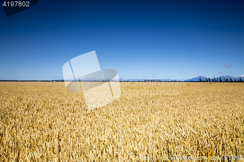 Image of beautiful landscape in the south part of New Zealand
