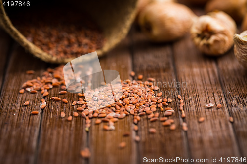 Image of Seeds and onions