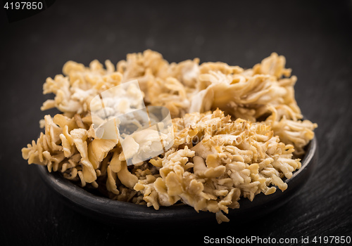 Image of Maitake - Hen of the woods