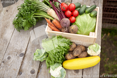 Image of close up of vegetables on farm