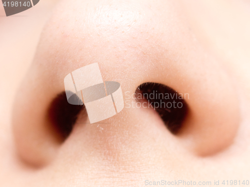 Image of nose