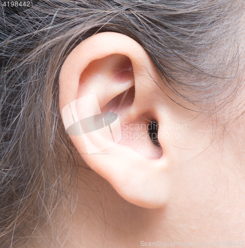 Image of woman ear