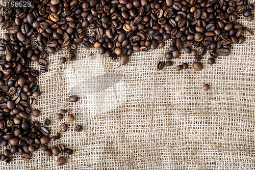 Image of the coffee grains