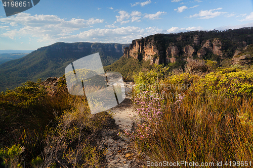 Image of Walking track in Blue Mountains Australia