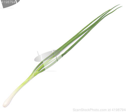 Image of green onion