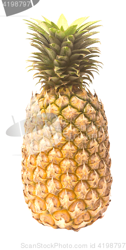 Image of whole pineapple