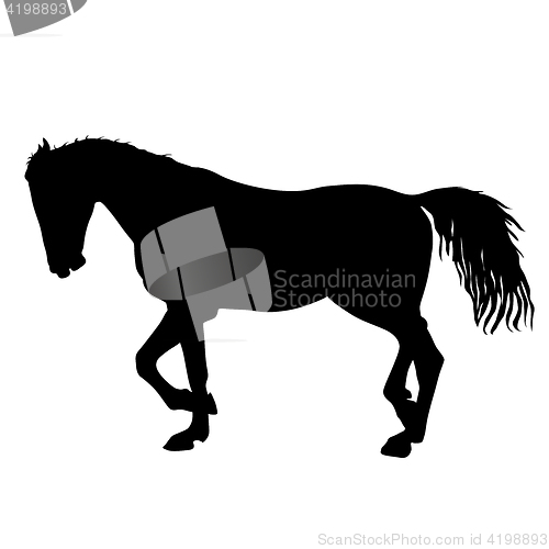 Image of silhouette of black mustang horse illustration