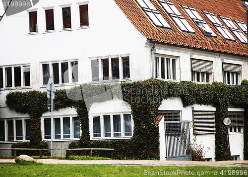 Image of white casual house with green ivy wall, vintage post card view