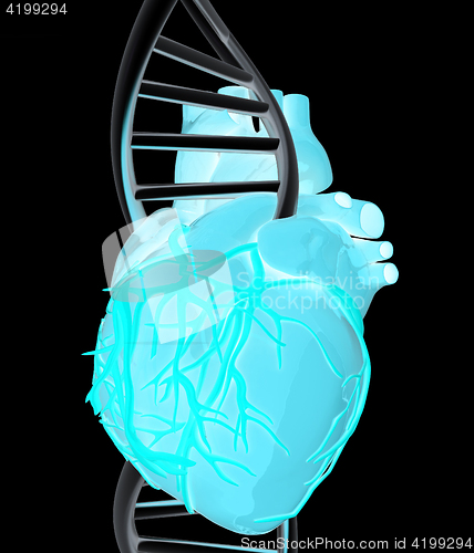 Image of DNA and heart. 3d illustration