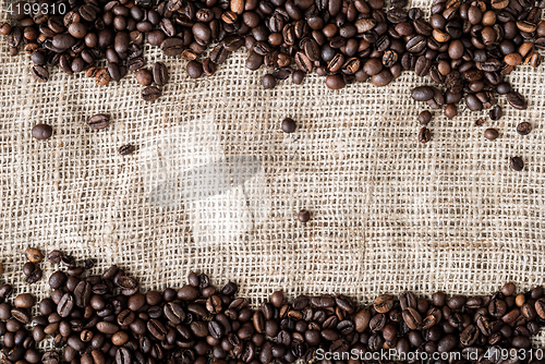 Image of the coffee grains