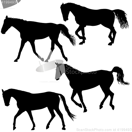 Image of Set silhouette of black mustang horse illustration