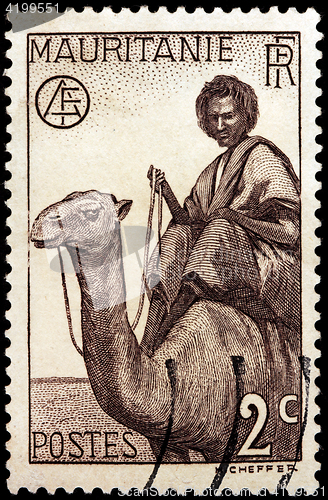 Image of Nomand Man on Camel