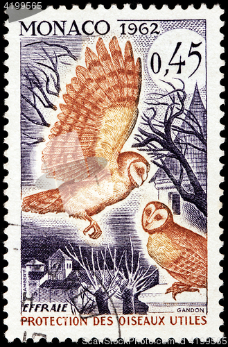 Image of Barn Owl Stamp