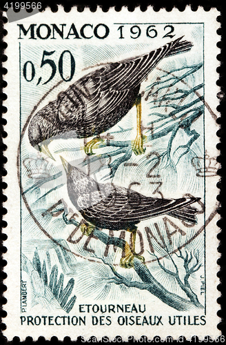 Image of Common Starling Stamp