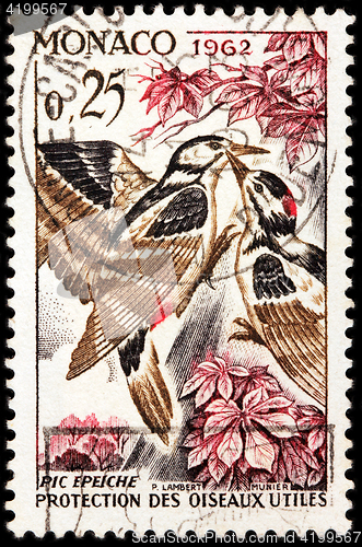 Image of Great Spotted Woodpecker Stamp