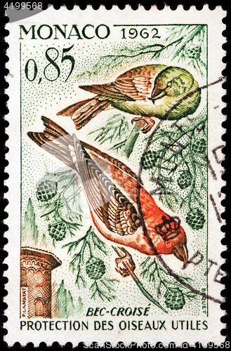 Image of Red Crossbill Stamp