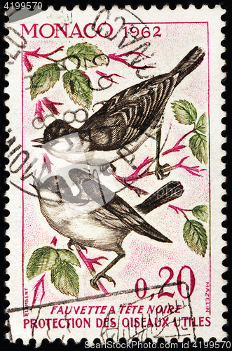 Image of Eurasian Blackcap Stamp