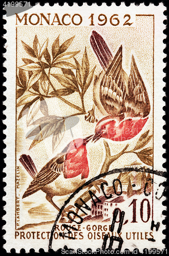 Image of European Robin Stamp