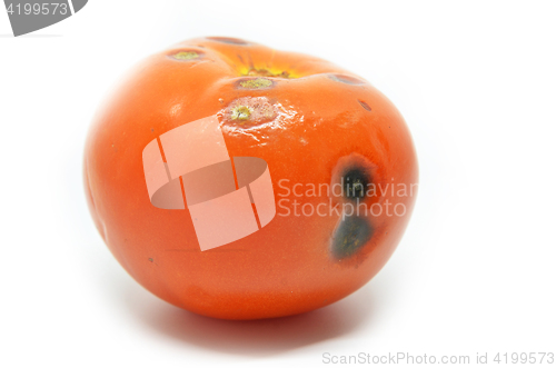 Image of Rotten tomato isolated 