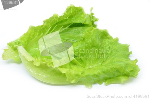 Image of Green Chinese lettuce