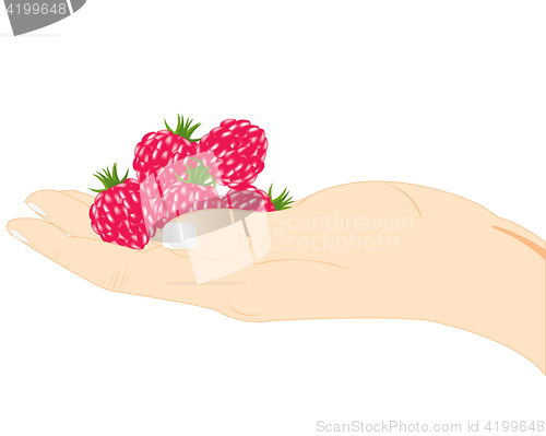 Image of Raspberry on palm