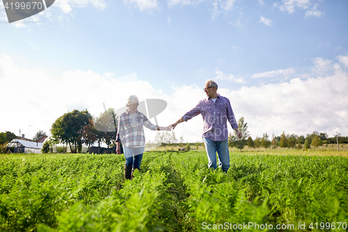 Image of happy senior couple holding hands at summer farm