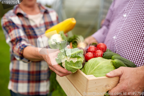 Image of senior couple with box of vegetables on farm