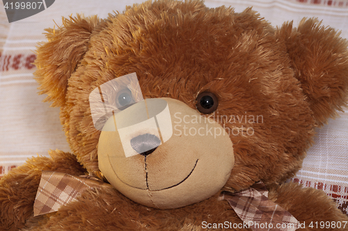 Image of  Kind teddy bear plush friend, cute toy