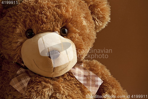 Image of Kind friend plush teddy bear