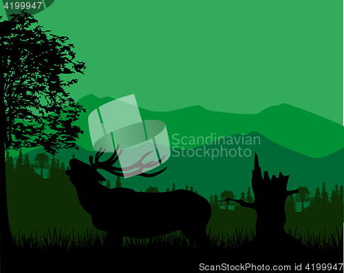 Image of Silhouette of the deer in mountain