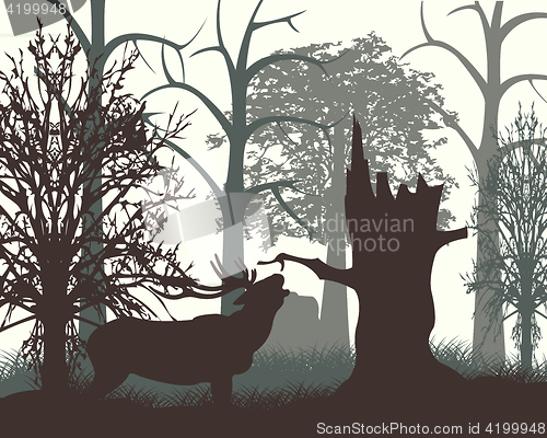 Image of Deer in wood in the morning