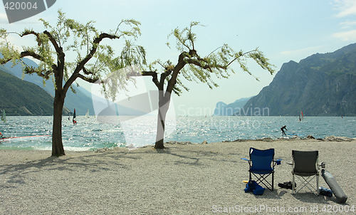 Image of Chairs, trees, and surfers