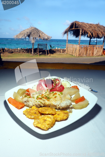 Image of fresh fish fillet with tostones, salad and native vegetables  Ca
