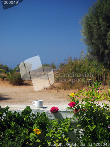 Image of  Sifnos Greek Island scene cup of coffee white wall with autumn 