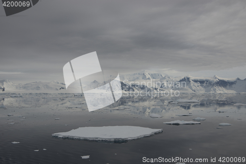 Image of Antarctica view form the ship