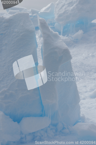 Image of Icebergs in Antarctica