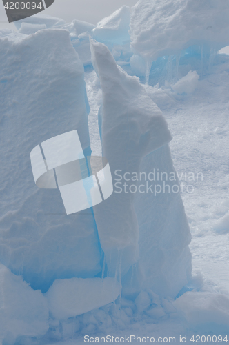 Image of Icebergs in Antarctica