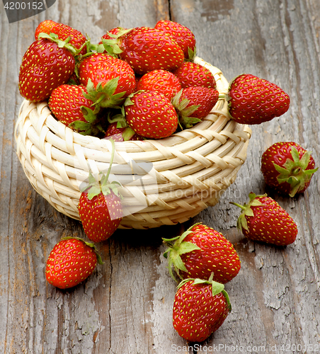 Image of Fresh Forest Strawberries