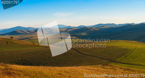 Image of Beauty summer evening in the mountains