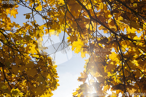 Image of Park in the fall