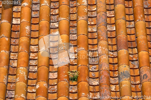 Image of Classical Chinese tile on the roof