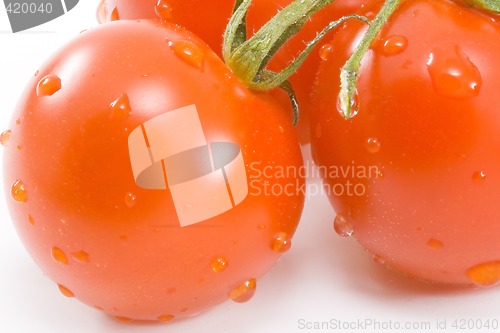 Image of Tomatos