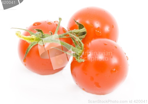 Image of Tomatos