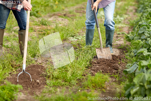 Image of senior couple with shovels at garden or farm