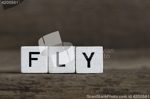 Image of Fly, written in cubes    
