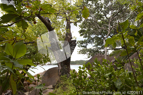 Image of Landscape at Anse Lazio, Seychelles